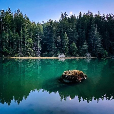 Mendocino Redwood Retreat - Vista Home Albion المظهر الخارجي الصورة