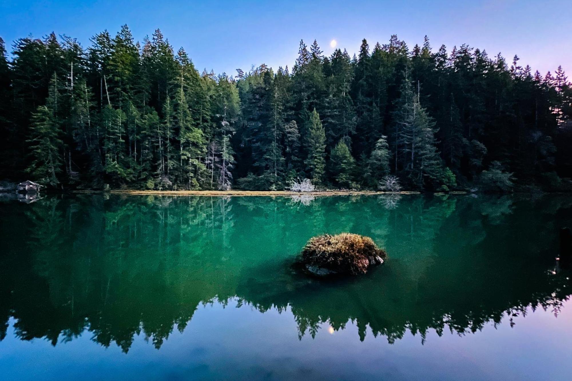Mendocino Redwood Retreat - Vista Home Albion المظهر الخارجي الصورة