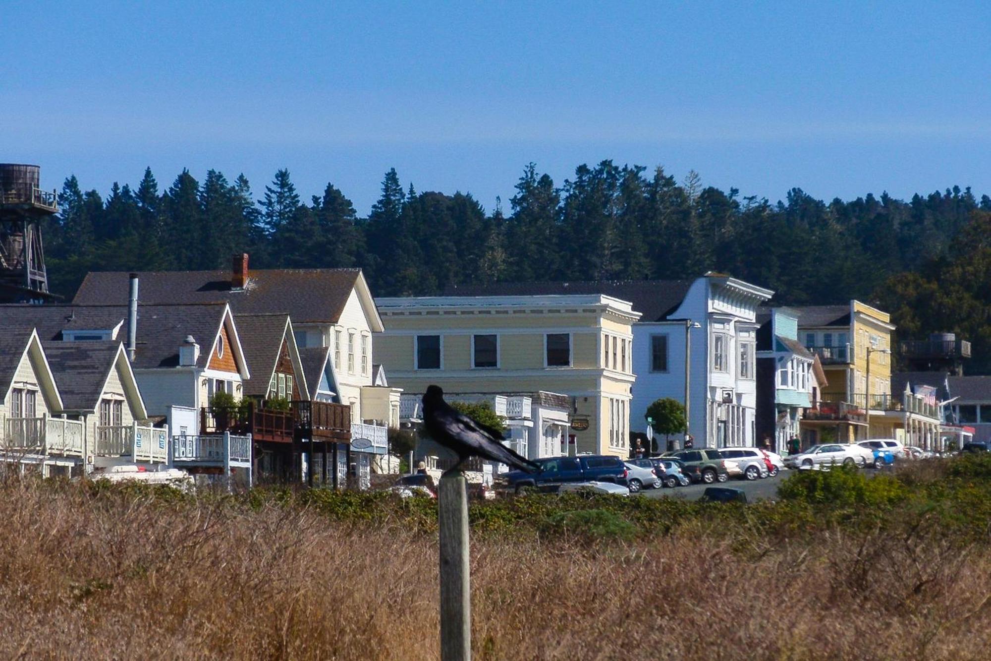 Mendocino Redwood Retreat - Vista Home Albion المظهر الخارجي الصورة