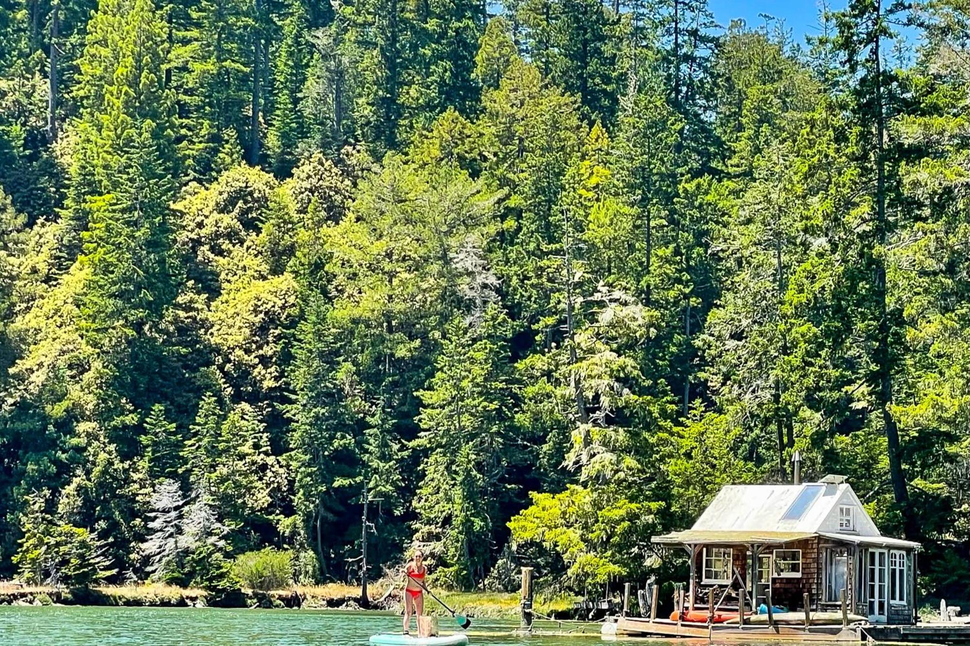 Mendocino Redwood Retreat - Vista Home Albion المظهر الخارجي الصورة