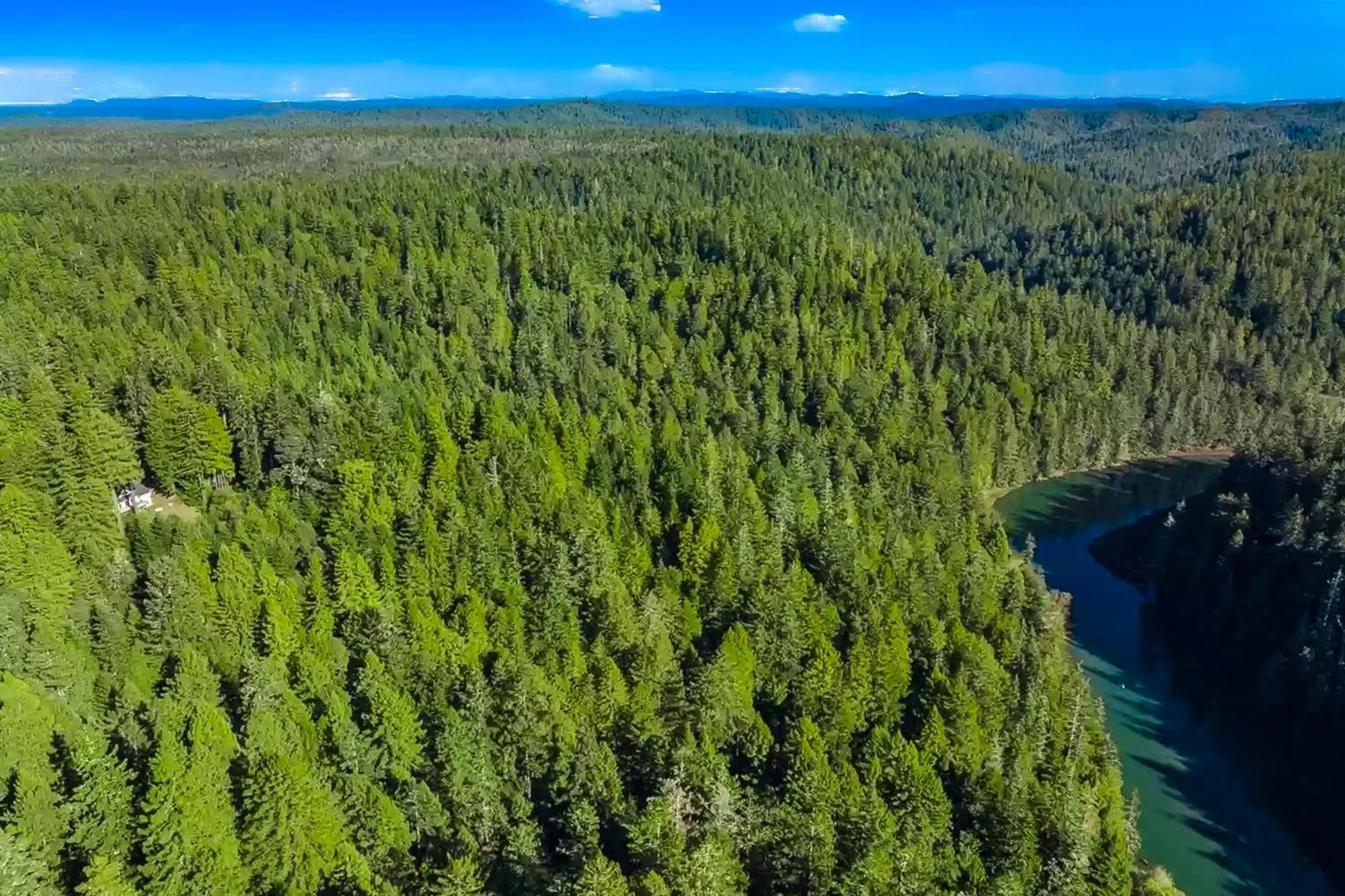 Mendocino Redwood Retreat - Vista Home Albion المظهر الخارجي الصورة