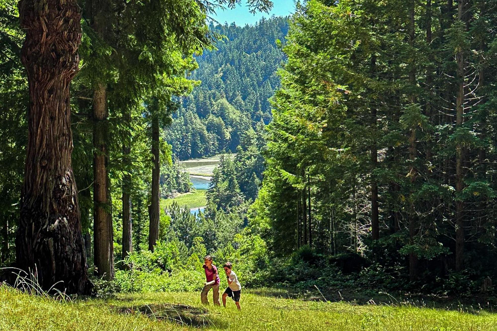Mendocino Redwood Retreat - Vista Home Albion المظهر الخارجي الصورة